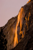 11th Place <b>Firefall</b> by <b>Michael Puff</b>