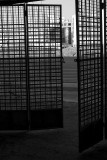 Prison Break
