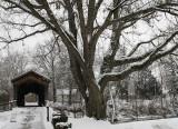 8th Place <b>The bridges of Madison County</b> by <b>Sam Attal</b>