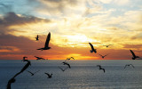 Sunset * Traveller