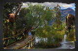 Bridge to Terebithia