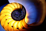 The Big Bang
