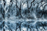 3rd Place <b>Trees</b> by Amy Medina (aka. DRabbit)