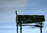At The Lake