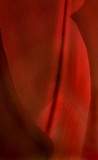 Martian Red