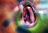 <b>3rd Place</b><br>amoeba<br>By Amy Medina (aka. DRabbit)