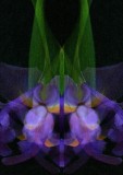  Abstract