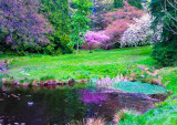 Monet Study #19