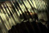 Paleolithic Art Meets the 21st Century