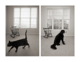 searching / waiting