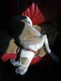 Rosies Chair