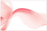 5th Place <b>The Elegant Universe</b> by Cat