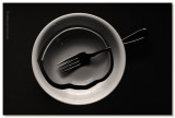 2nd Place <b>Why things break </b> by  Cat