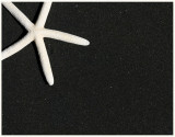 6th Place <b>Beach Music</b> by CJ in CA