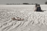 The Foundling
