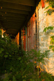 Barn Shadows