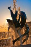 Dancing with dolphins