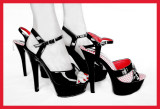 3rd Place<br>Hoochy Mama Shoes<br>by Susan Craig