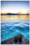 6th Place (tie)<br>Gone Swimming<br>by jnconradie