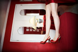 10th Place<br>Take a Walk on the Wild Side<br>by Lonnit Rysher