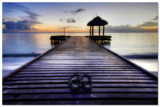 11th Place<br>Gone Swimming 2<br>by jnconradie
