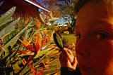 Bug viewer