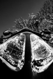 Bug-eye