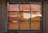 Old Shack