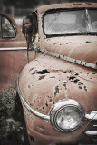 <i>Fourth Place</i><br><b>Preston</b><br>by Elena
