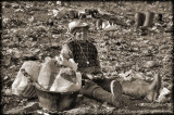 <i>Thrid Place</i><br><b>At the end of a long day</b><br>by jnconradie