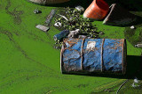 <i>Second Place</i><br><b>Floating to a different drum</b><br>by FarsideMichael