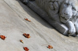 <i>Ninth Place</i><br><b>Here they come again to challenge the beast</b><br>by Sam Attal