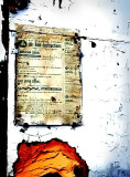 <i>Second Place</i><br><b>Radioactivity</b><br>by Mary Anne
