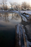 Lake Shore in Winter