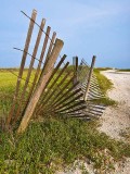 Busted Fence