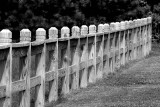 Dont Fence Me In