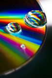 Surface Tension