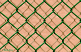 Fenced In Or Out?
