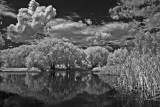 <b>3rd Place</b><br>37<br>by Michael Shealy