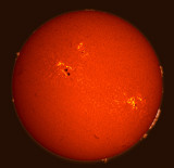 3rd Place<br>Hot Spots<br>by Andrew Chatman