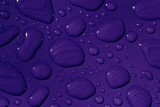 10th Place<br>Water Spots<br> by Markjay