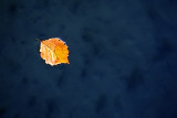 Floating By