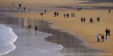 SpottyBeach