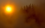 Ninth Place<br>Sunrise, Norris Geyser Basin<br>by Tom Mears