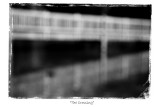The Crossing