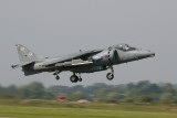 Harrier