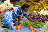 Arranging the vegetables