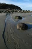 Outgoing Tide