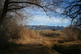 Corn Creek