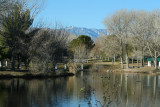Floyd Lamb State Park